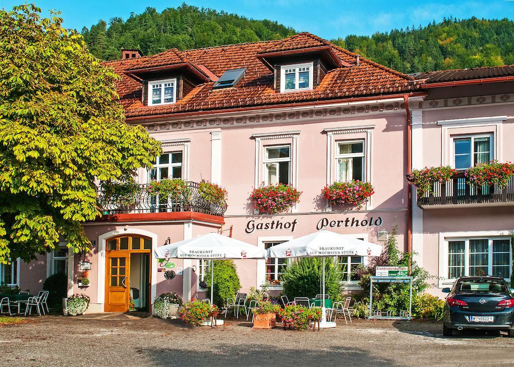 Gasthof Zum Niederhaus - Familie Perthold Sankt Aegyd am Neuwalde Exterior photo